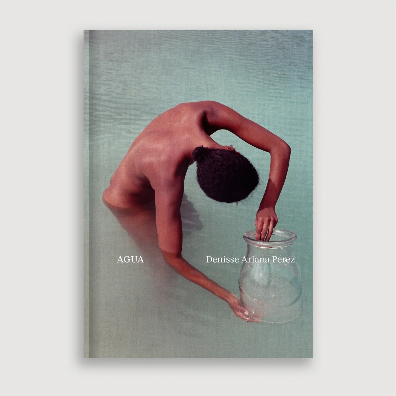 Agua (Second Edition) - Denisse Ariana Perez