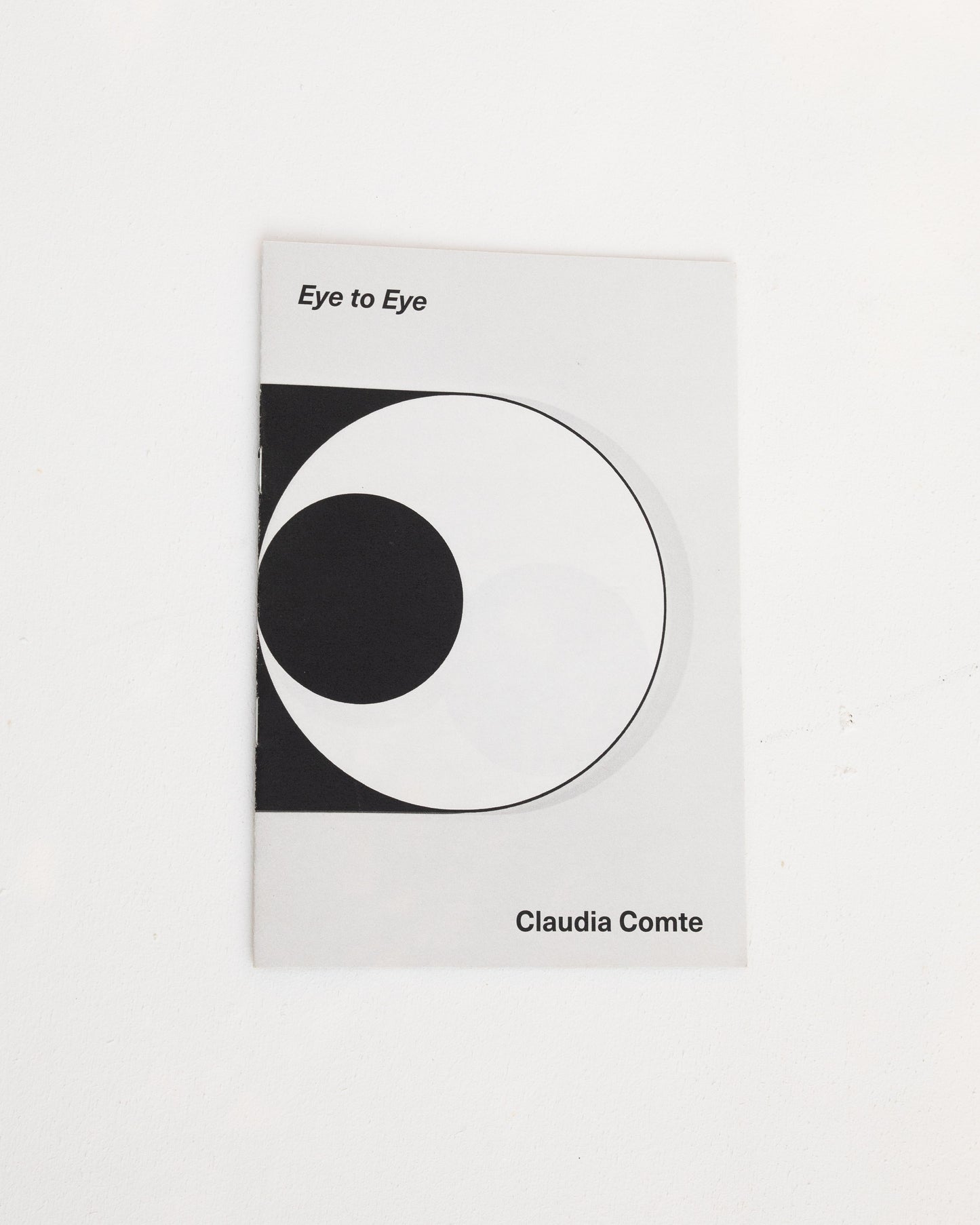 Eye to Eye - Claudia Comte