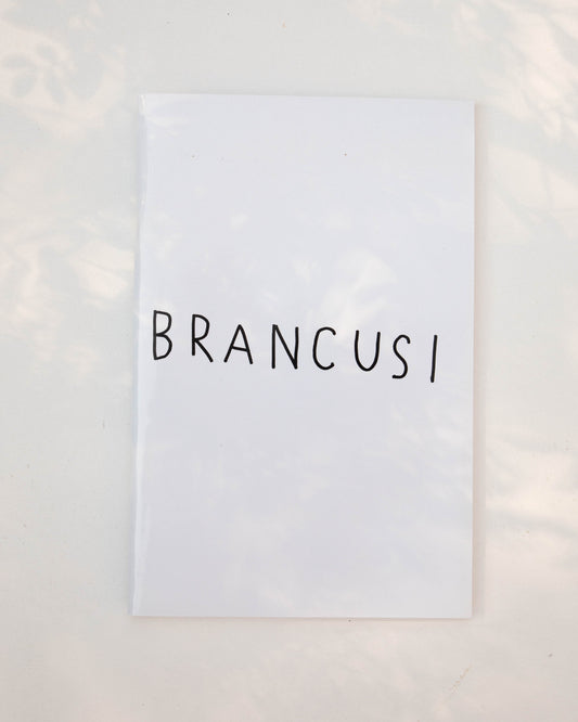Brancusi - Masanao Hirayama