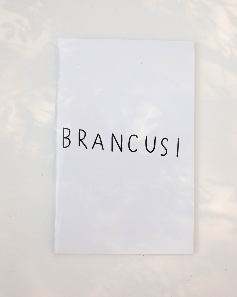 Brancusi - Masanao Hirayama